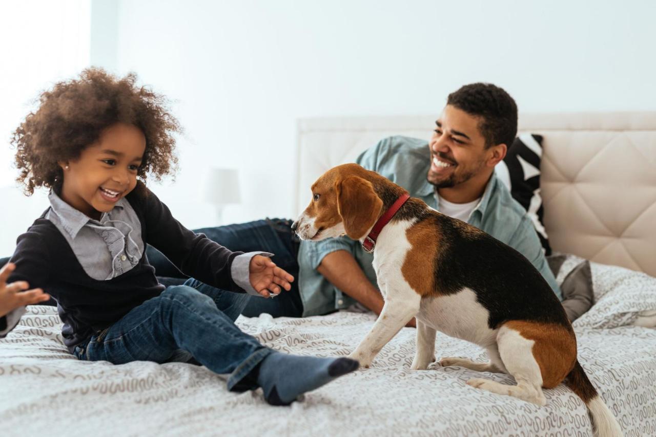 La Clef Champs-Elysees Paris By The Crest Collection エクステリア 写真 A family with a dog